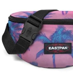 SPRINGER