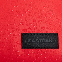 TRANSIT'R L